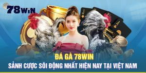 Đá gà 78win - Thiên đường chỉ dành cho anh em đam mê