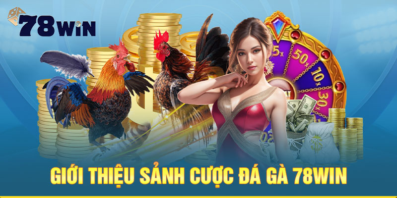 Giới thiệu sảnh cược đá gà 78win