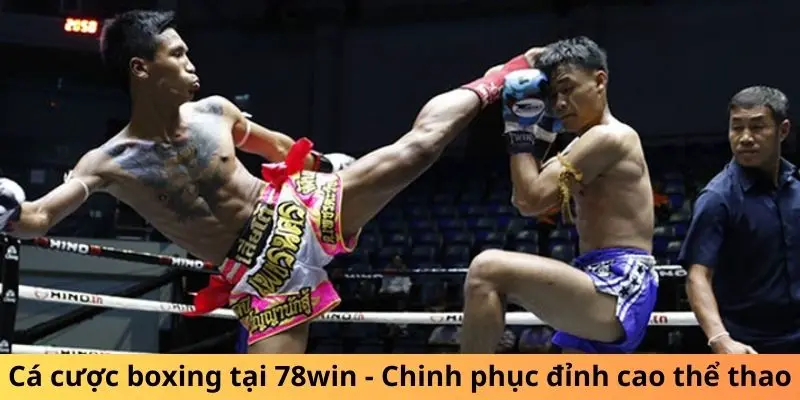 Cá cược boxing tại 78win - Chinh phục đỉnh cao thể thao