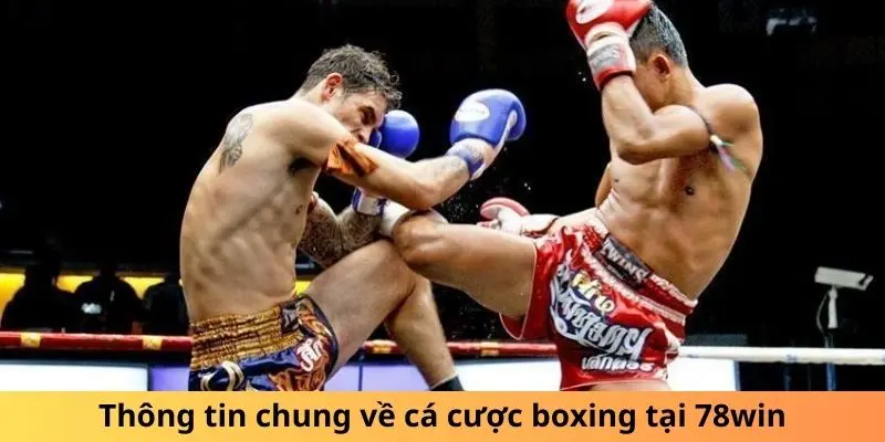 Thông tin chung về cá cược boxing tại 78win