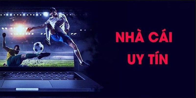 Những thông tin thú vị giới thiệu về 78winvip 01