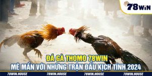 Đá gà Thomo 78win - Mê mẩn với những trận đấu kịch tính 2024